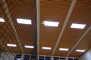 IMGP3566.jpg