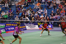 IMGP0674.jpg