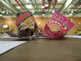 DSC00535.jpg