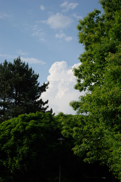 IMGP5677.jpg