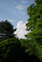 IMGP5677.jpg