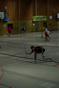 IMGP6034.jpg